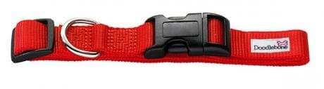 Doodlebone Bold Colour Dog Collar, Small, Red