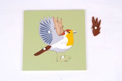 Montessori bird puzzle with skeleton