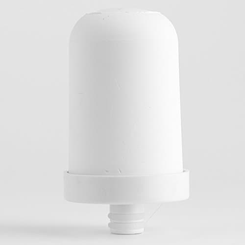 Engdenton ED-FP S/S Water Filter Cartridge Replacement, Kitchen Filtration(For Stainless Steel Filters ASIN: B073W663DQ)