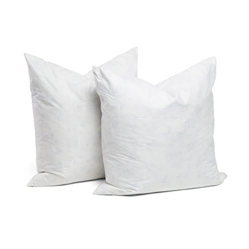 Chateau by Sheri 95% Feather 5% Down Pillow Insert 20"x20" Set of 2