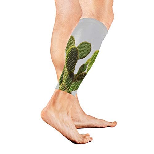 Leg Sleeve One Cactus Compression Socks Support Non Slip Calf Sleeves Pads for Running, Shin Splint, Calf Pain Relief, Runners, Medical, Air Travel, Nursing, Cycling 1Pair