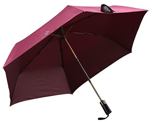Lilac Auto Open&amp;Close Compact Windproof and Anti-UV (UPF50+) Umbrella Foldable Travel Umbrella for Easy Carrying, Red