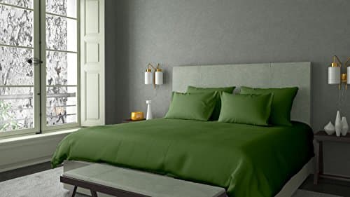 LINEN SHOPPE 600 Thread Count PIMA Cotton Classic Bed Sheet Super Soft Durable Luxury Italian Finish Bedding Collection Sheet Set With 21” Deep Pocket (Queen,Sage)