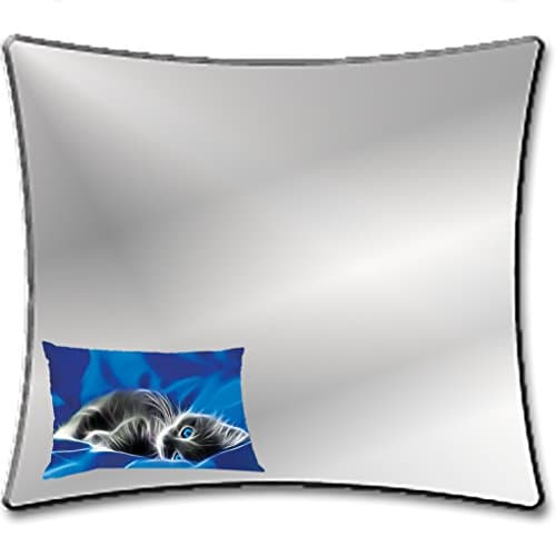 Magnetic School Locker Mirror: Blue Eye Kitten