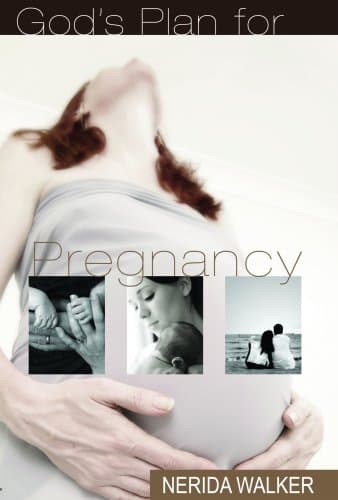 God's Plan for Pregnancy Paperback – 1 May 2009