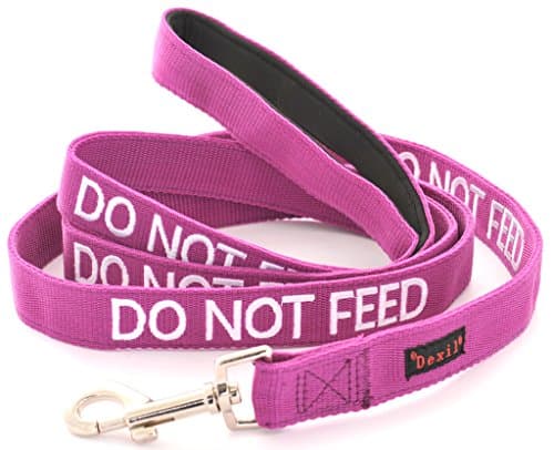 DO NOT FEED Purple Color Coded 6 Foot Padded Dog Leash (May Have Allergies) PREVENTS Accidents By Warning Others of Your Dog in Advance
