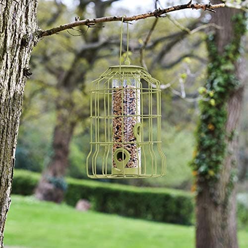 Squirrel Proof Bird Seed Feeder Garden Accessories with Plastic Case and Metal Cage, Olive Green Colour