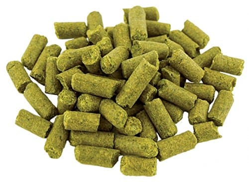 Santiam Pellet Hops 1 oz