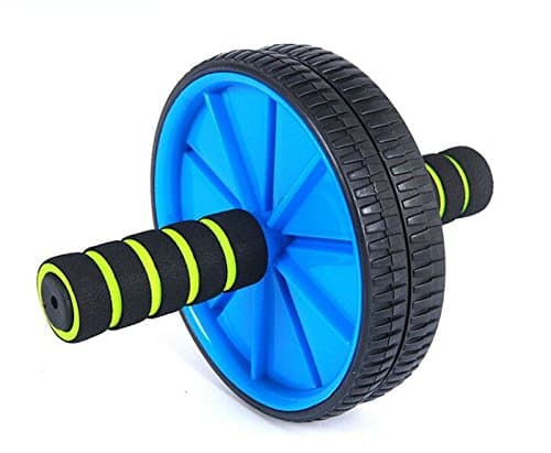 Dual Wheel Ab Roller with Mat for Gym Abdominal Exercise Fitness Equipment