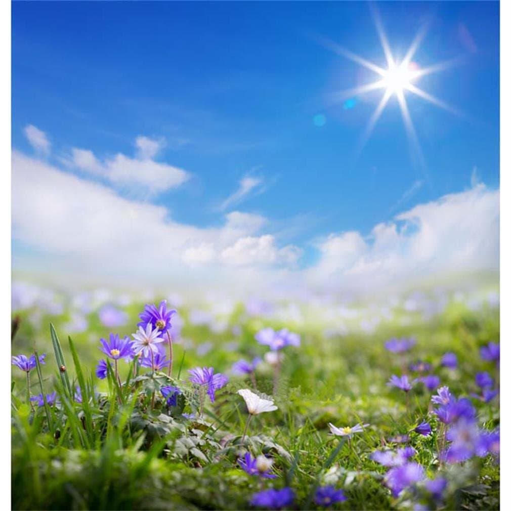Generic Art Floral Spring Summer Background Blue Sky Sun Backdrops Fantasy Flowers Baby Photo Studio Props 2334