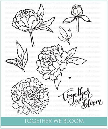 Studio Katia Clear Stamp Set - Together We Bloom