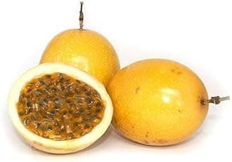 Rare Sweet Hybrid Yellow Passion Fruit Seeds Passiflora Fruits Plant || Krishna Kamal Vine Garden Plant || Medicinal Healthy Live Passion Fruit Plants For Outdoor, Garden