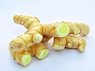 Gachwala 6 Rhizomes of Real Mango Ginger | White Turmeric Mango Ginger for Kitchen Garden - Fresh Curcuma Amada | Live Root Cuttings for Growing Plant