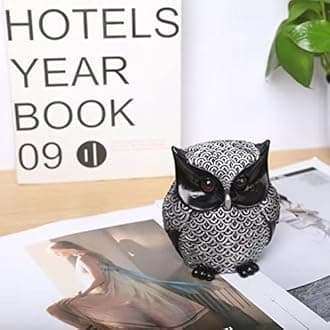 Artpaul Owl Decor - Home Decor Accents & Owl Figurines for Shelf, Office, Gifts (Silver)
