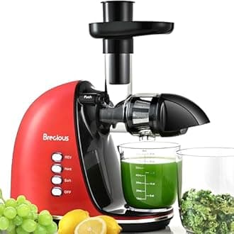 Brecious Chew Press, Cold Press with 2 Speed Modes and Silent Motor, Fruit and Vegetable Press Machines with Reverse Function, Celery Press Machine