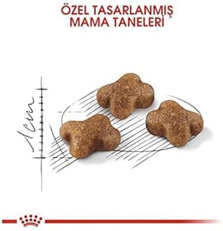 ROYAL CANIN FELINE HEALTH NUTRITION KITTEN DRY FOOD 10 KG