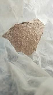 100% Pure Ash Gourd Powder | Kushmand | Safed Petha | Detox Juice | Natural Detoxifier | Vegan & Gluten-Free | Winter Melon Powder | Satvic Lifestyle (5.29 Ounce (Pack of 1))