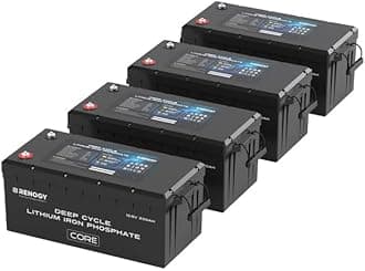 Renogy 12V 200Ah LiFePO4 Battery with 5000+ Deep Cycles, 12V Lithium Battery with BMS and IP65, Backup Power for Van Caravan Campervan Motorhome Cabin Marine, Support Series/Parallel, 4 Pack