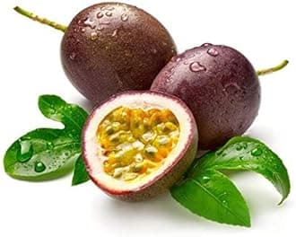Purple Passion Fruit Sweet & Rare (Air Layered) Healthy & Hybrid Live Plant,Ready to Fruit After 4/6 Montht For Farming Pack OF 2