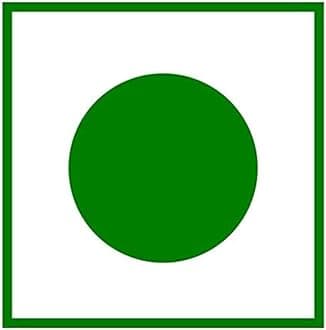 ANP BEE Raw Natural Honey I Supports Weight Loss I NMR Tested Unprocessed & Unfiltered Original Pure Honey I Multiflora Honey I Good for Heart Health I Plastic Bottle (Pack of 3, Honey 250gm)