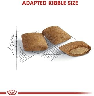 Royal Canin Senior Ageing 12+ Cat Food 400g