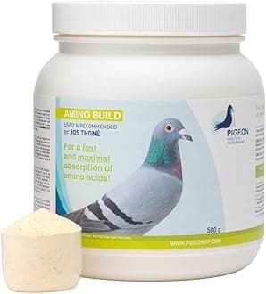 Generic PHP Amino Build 500g - Muscle-Building Amino Acids Pigeon Health & Performance