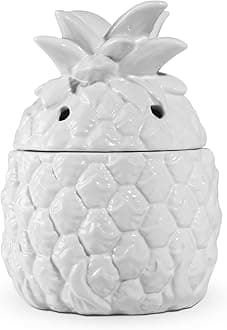 STAR MOON Electric Wax Melt Warmer, Candle Melter Burner for Scented Wax, Scentsy Wax Cubes, Ceramic No Flame No Smoke No Soot