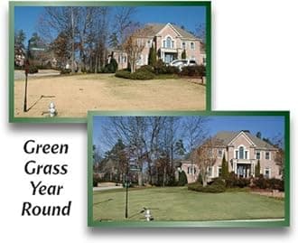 90 sq. meters 4Ever Green Grass Paint