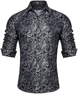 DiBanGu Mens Shirt, Paisley Floral Dress Shirt Long Sleeve with Collar Pin Brooch