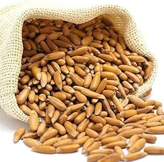 VIG Purify Pine Nuts with Shell, Chilgoza (100 Gr)