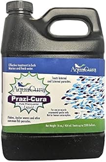 Prazi-Cura Liquid - Safest, Most Effective Parasite Treatment for Koi, and Aquarium Fish! Treats up to 2500 gallons.