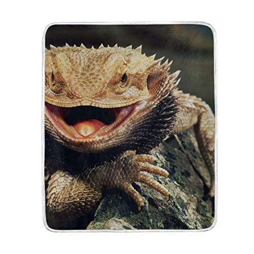 Bearded Dragon Lizards Throw Blanket Soft Warm Cozy Bed Couch Lightweight Polyester Microfiber Size 50" W x 60" L Kids Women Boy