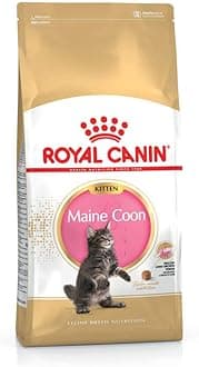 Royal Canin Maine Coon Kitten Dry Food 400g