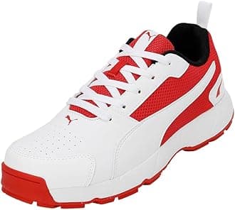 PUMA Men's Cricket Highrun Shoes
