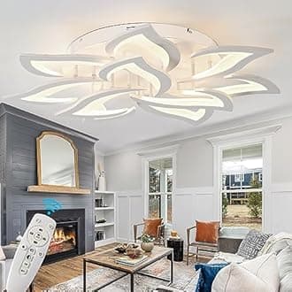Panghuhu88Modern Ceiling Lamp,Dimmable Led Ceiling Lights Metal Acrylic Lighting Fixtures with Romote Control for Bedrooms, Living Rooms, Kitchen Rooms (10 Head)