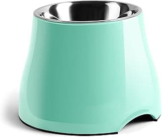 yoken Elevated Dog Bowls, [Prevention of Vertebrae Disease] [Super Non-Slip] Stainless Steel Bowl with High Capacity,Colorful Raised Dog Bowls for Medium/Small Size Dogs, M (540ML /2 Cups), Mint Green