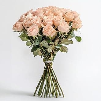 GlobalRose 24 Peach Roses Bouquet - Responsibly Sourced Roses Fresh Flowers - Hand-Picked Flowers Fresh Bouquet for Graduation, Anniversary, Birthday & Special Occasions (2 Dozen)