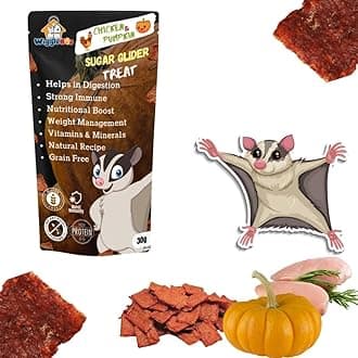 Chicken & Pumpkin Sugar Glider Treat | Travel Pack | Protein Rich | Natural Detoxifier | Crunchy Food Snack | 30g