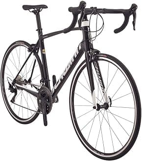 SchwinnFastback Carbon Road Bike