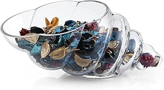 MDLUU Glass Shell Vase, 11-Inch Seashell Potpourri Holder, Large Decorative Conch Bowl for Shell Collection Display, Sea Glass, Air Plant
