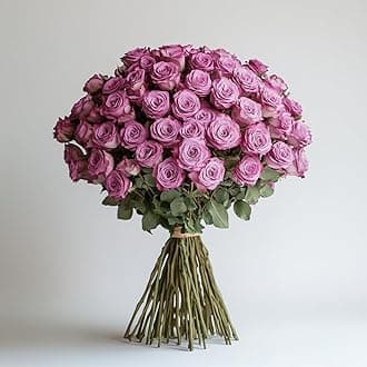 GlobalRose 50 Lavender Roses Bouquet - Responsibly Sourced Roses Fresh Flowers - Hand-Picked Flowers Fresh Bouquet for Graduation, Anniversary, Birthday & Special Occasions (2 Bunches of 25 Stems)