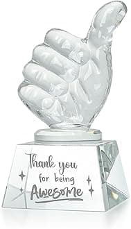 LONGWIN Employee Appreciation Gifts Crystal Awards with Thumbs Up, Thank You for Being Awesome Gifts for Staff, Coworkers Teacher Christmas Birthday