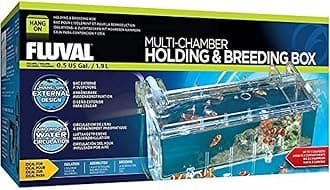 Multi-Chamber Holding and Breeding Box, Large – Up to 3 Separate Housing Compartments (Pack of 6)