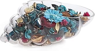 Glass Shell Vase, 10-Inch Seashell Potpourri Holder, Decorative Conch Bowl for Shell Collection Display, Sea Glass, Air Plant