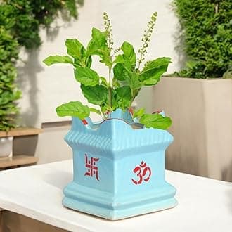 ecofynd 6 inches Tulsi Ceramic Plant Pots, Flower Pot with Drainage Hole, Decorative Modern Indoor Planters, Home Garden Decor for Living Room Bedroom Interior (Sky Blue,CPOT016-06)