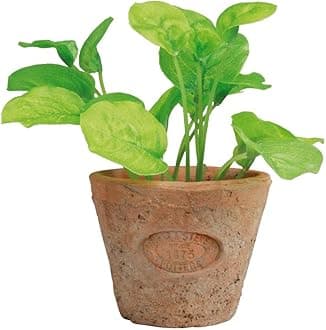 Esschert's Design AH007 Small Artificial Aged Terracotta Pot - Basil