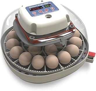 Harris Farms Nurture Right Egg Incubator for Hatching Chicks, Holds 12-22 Eggs, Automatic Turner with Temperature and Humidity Control, 360 Degree View with Clear Window, Incubator for Chickens