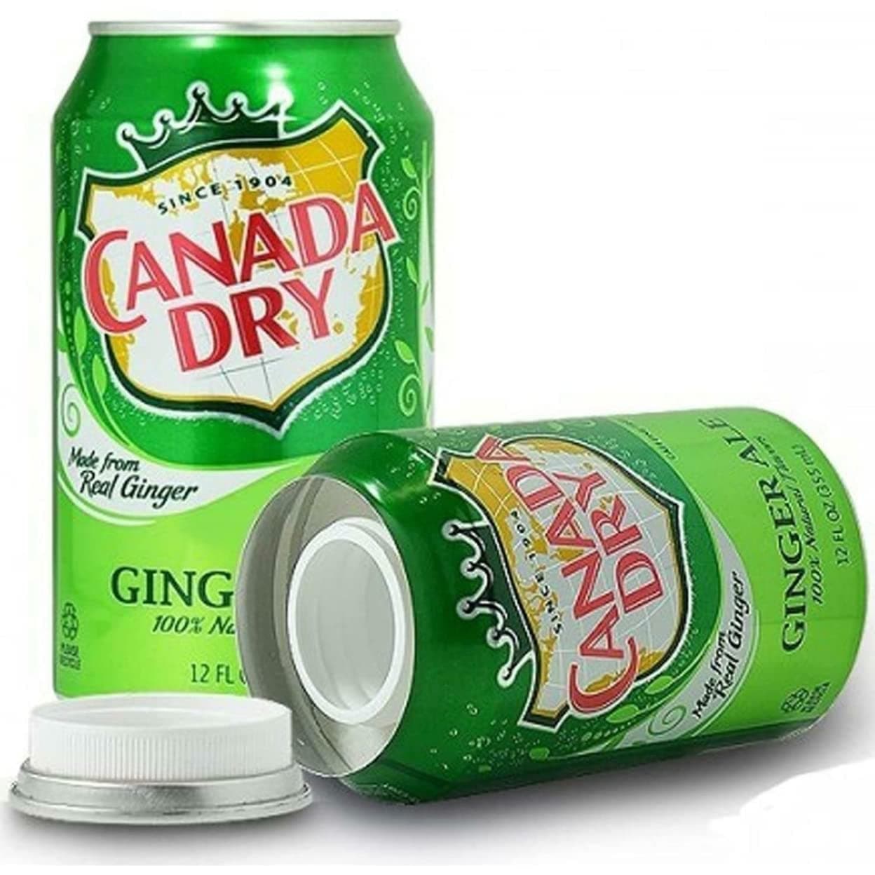 Canada Dry Ginger Ale Diversion Safe