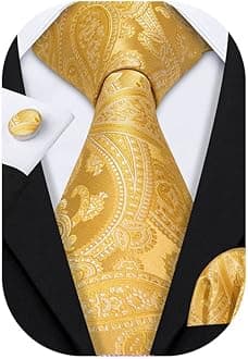 Barry.Wang Men Ties Paisley Woven Silk Necktie Set with Pocket Suqare Cufflinks Formal