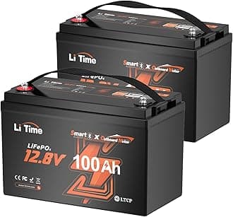 LiTime (2-Pack) 12V 100Ah OBM Bluetooth LiFePO4 Battery with LTCP, Deep Cycle Rechargeable Lithium Battery, 100A BMS, Up to 15000 Cycles, Perfect for Outboard Motor,Trolling Motor, Marine,Yacht,Boats